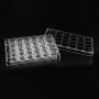 24 Well Flat Bottom Transparent Cell Culture Plate